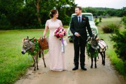 beverage-donkeys-at-wedding-austin-7