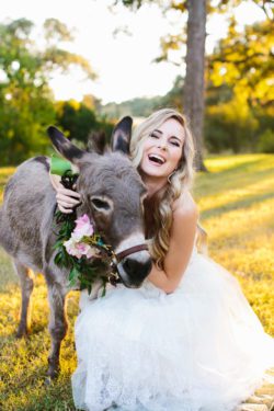 beverage-donkeys-at-wedding-austin-7