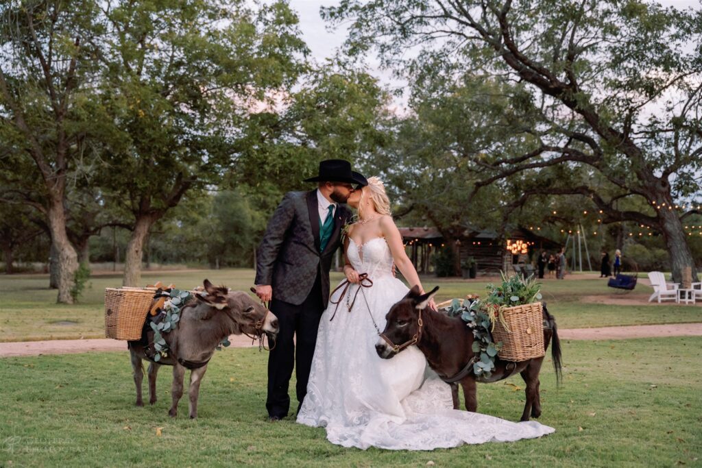 Bride and groom with donkeys at outdoor wedding