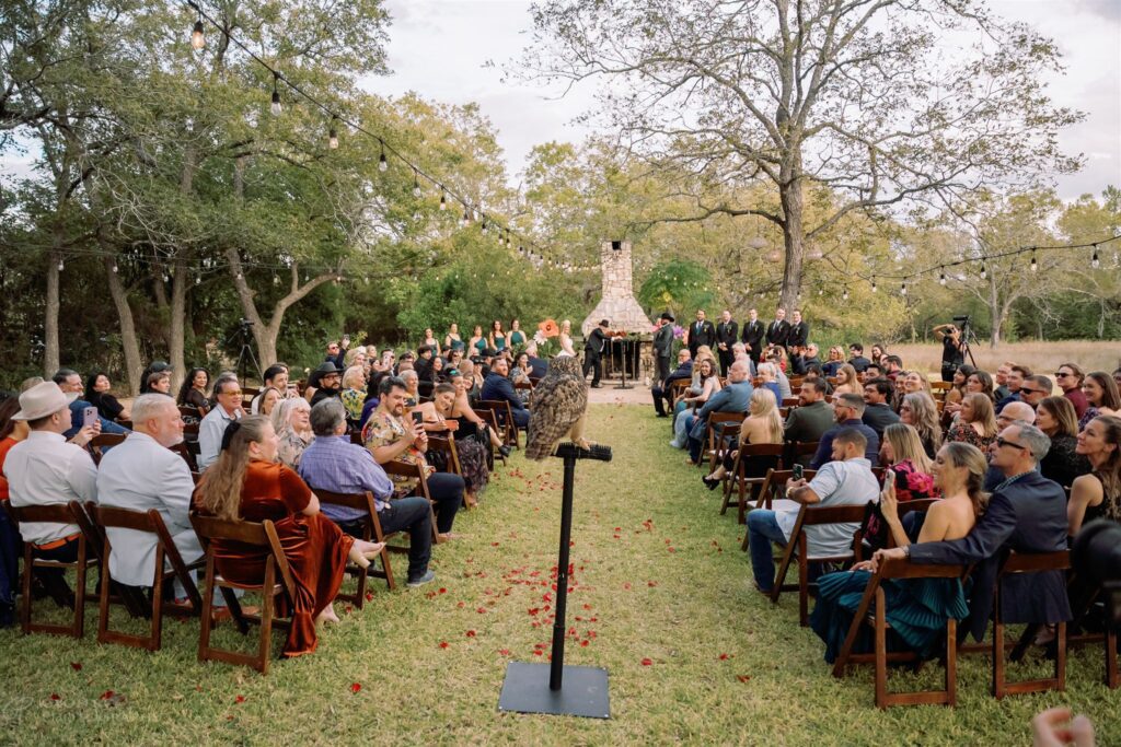 Owl in aisle with guests seated at outdoor wedding