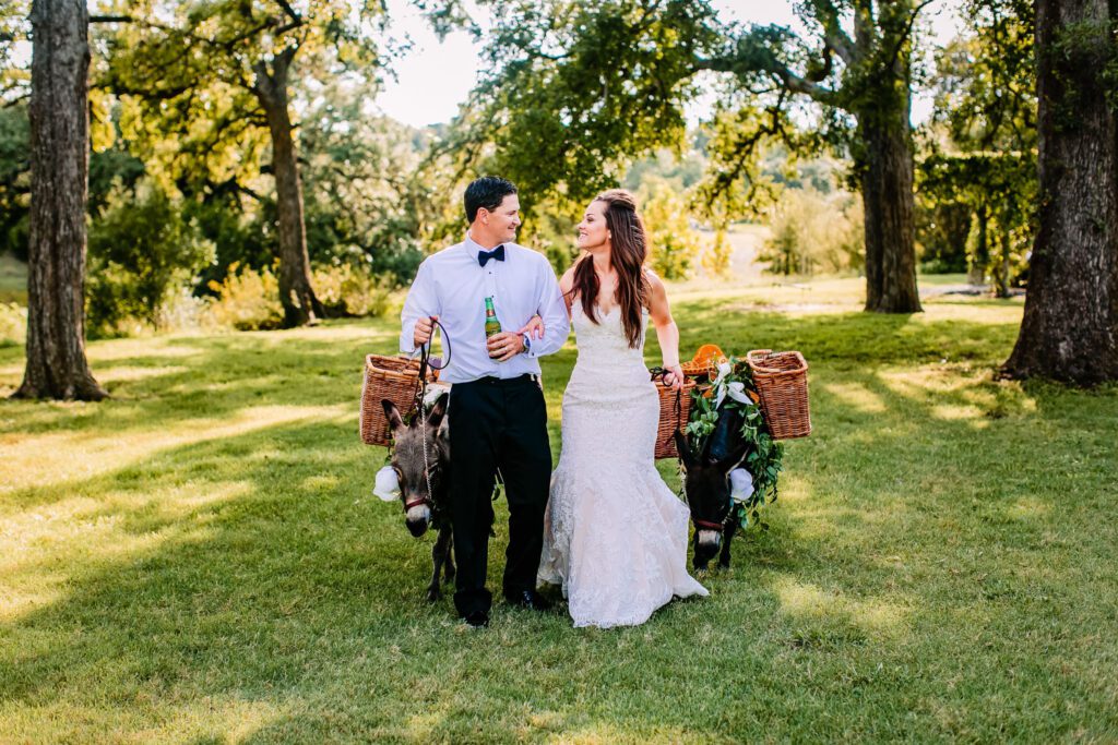 Couple walking with donkeys carrying baskets at wedding