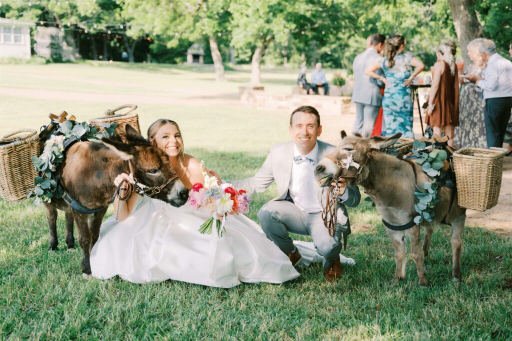 Couple posing with donkeys during outdoor wedding celebration