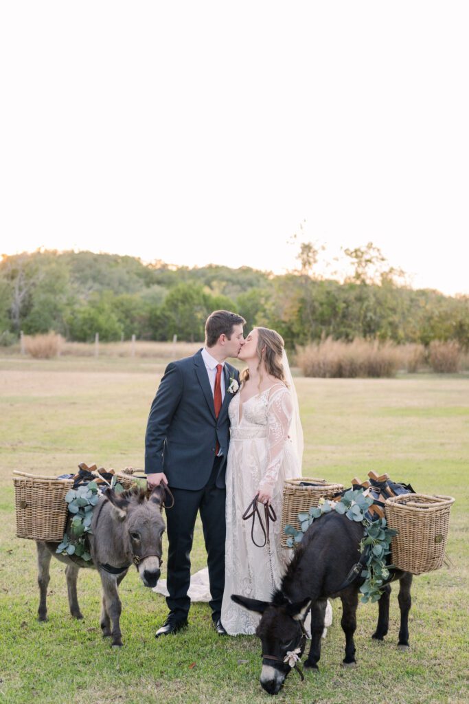 Newlyweds posing with decorated donkeys