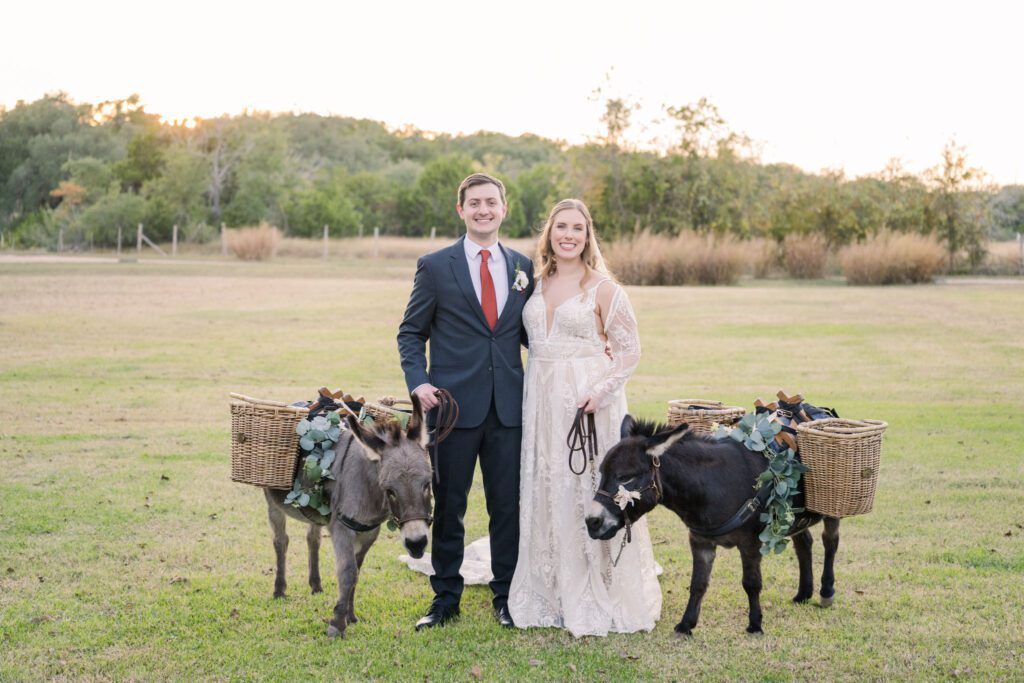 Newlyweds posing with donkeys